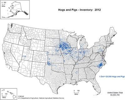 Frontiers | A Review Of African Swine Fever And The Potential For ...